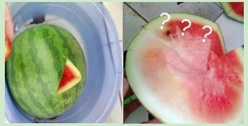 快来围观，鸿星尔克代言人竟然是他
