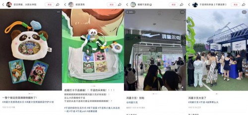演员于适已加入熊猫守护计划 国货×国宝公益创新