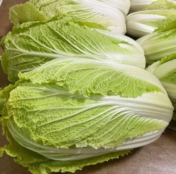 “娃娃菜”和“大白菜”是一种菜吗？区别大了，建议弄懂再买！