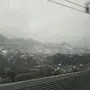 半天胖子