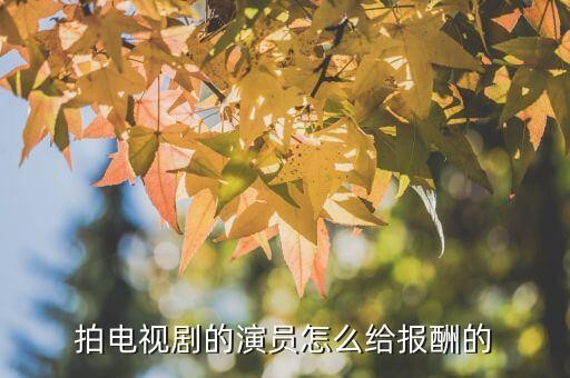 拍电视剧的演员怎么给报酬的