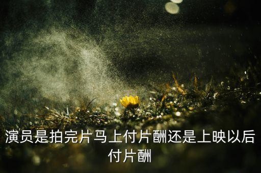 演员是拍完片马上付片酬还是上映以后付片酬