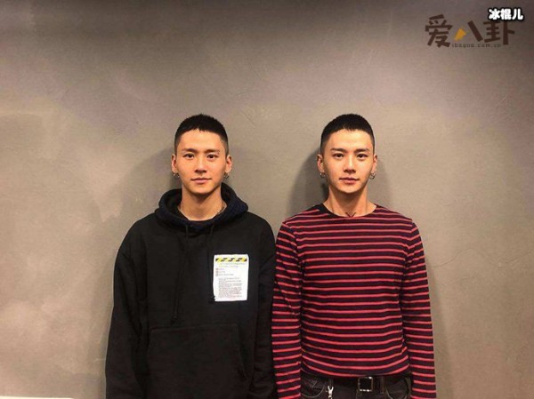 权氏兄弟是谁