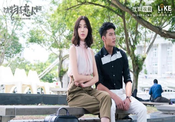 《动物系恋人啊》长颈鹿和松鼠真相亲相爱到白头吗？阿娇有话说