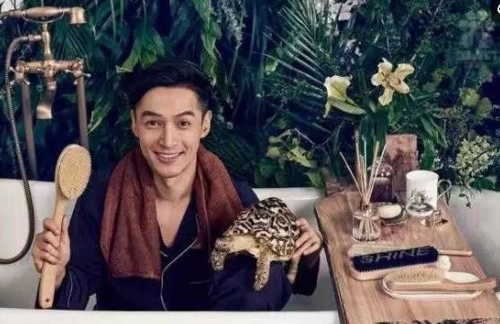 胡歌的乌龟, 张馨予的蜥蜴, 赵丽颖的松鼠, 明星养宠物就服宋小宝