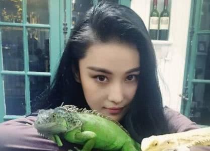 胡歌的乌龟, 张馨予的蜥蜴, 赵丽颖的松鼠, 明星养宠物就服宋小宝
