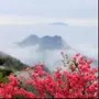 旅行观天下
