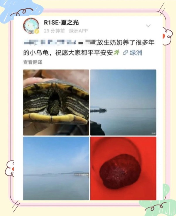 夏之光放生引发巴西龟争议：生态危机与反思