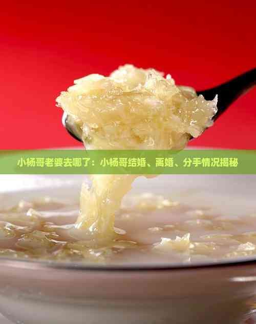 小杨哥老婆去哪了：小杨哥结婚、离婚、分手情况揭秘