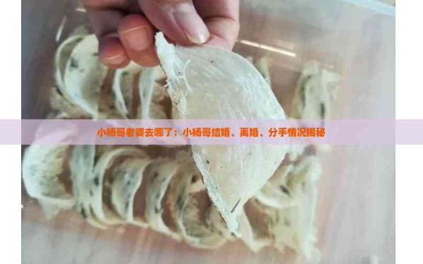 小杨哥老婆去哪了：小杨哥结婚、离婚、分手情况揭秘