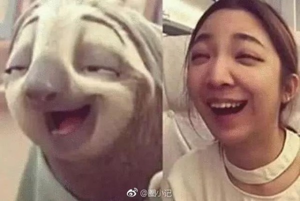 林更新是二哈赵丽颖是萌猫？论与动物撞脸只服李易峰