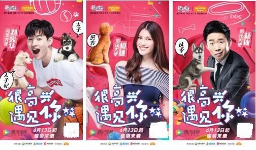 明星们最适合养什么狗？反正薛之谦肯定是二哈了