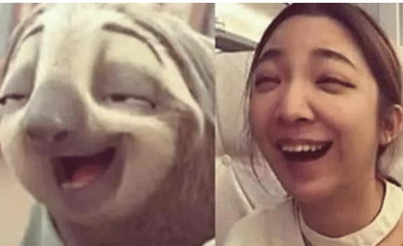 当明星们与动物撞脸，林更是二哈，赵丽颖是萌猫，孙红雷是什么？