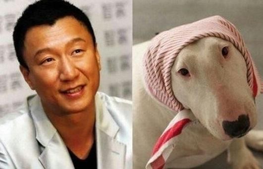 明星们最适合养什么狗？反正薛之谦肯定是二哈了