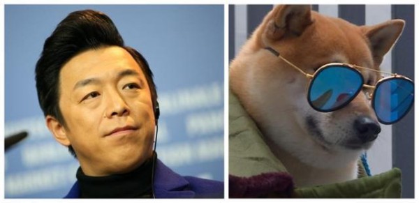 明星们最适合养什么狗？反正薛之谦肯定是二哈了