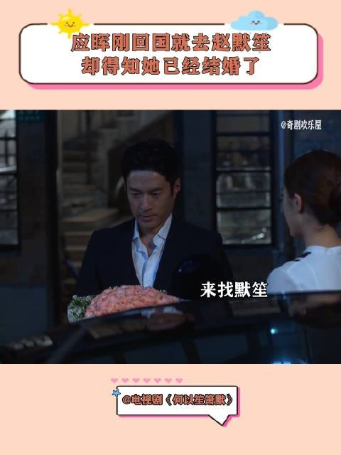应晖刚回国就去赵默笙,却得知她已经结婚了