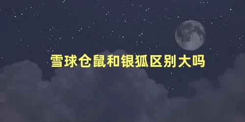雪球仓鼠和银狐区别大吗