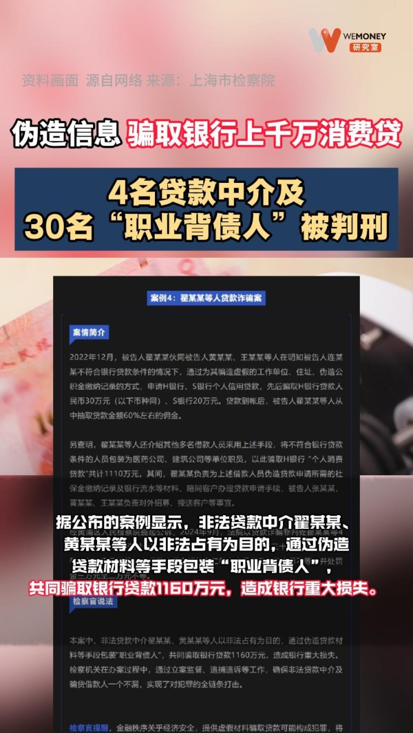 4名贷款中介及30名“职业背债人”被判刑