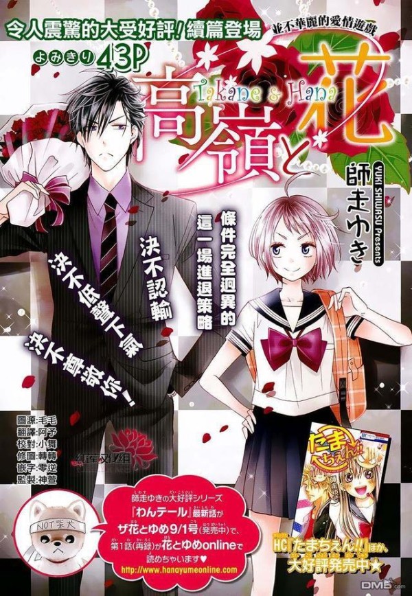 日系漫画《高岭与花》：财阀少爷与平民少女的相亲之旅