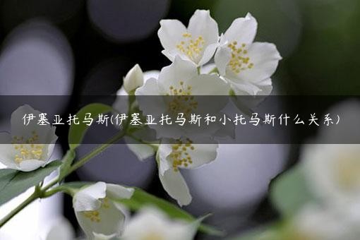 伊塞亚托马斯(伊塞亚托马斯和小托马斯什么关系)