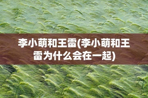 李小萌和王雷(李小萌和王雷为什么会在一起)