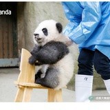 慎微