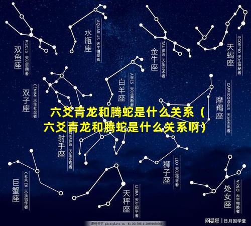 六爻青龙和腾蛇是什么关系（六爻青龙和腾蛇是什么关系啊）