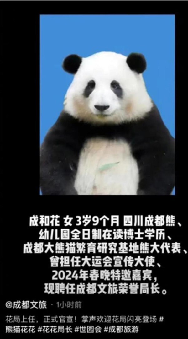 大熊猫“花花”当上了“局长”，文旅如此卖“萌”喜闻乐见