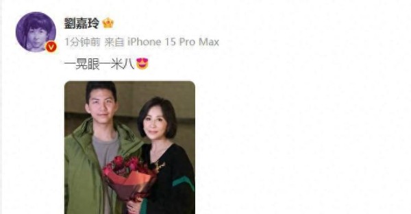 刘嘉玲与胡军儿子合照曝光！男方身高超180cm，引关注