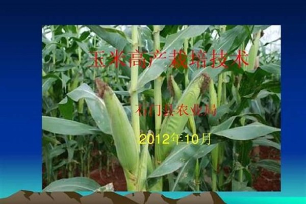 麒麟李高产栽培技术及主要病虫害防治措施