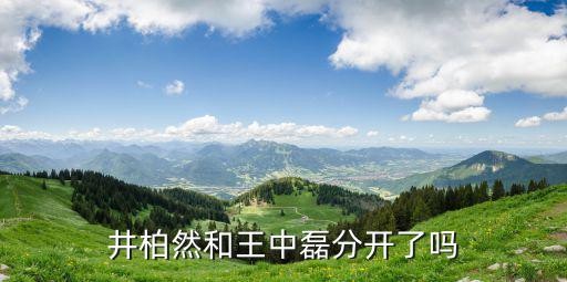 井柏然和王中磊分开了吗