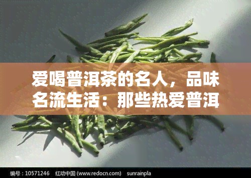 爱喝普洱茶的名人，品味名流生活：那些热爱普洱茶的名人