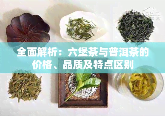 全面解析：六堡茶与普洱茶的价格、品质及特点区别