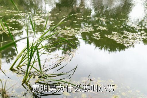 黄明昊为什么要叫小贾
