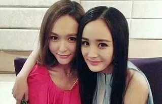 曹俊和曹颖是什么关系