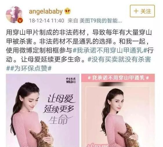 女明星公益广告被指帮倒忙？穿山甲不通乳，管用的是这两样！