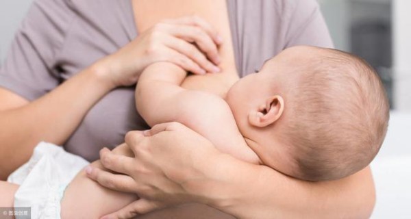 女明星公益广告被指帮倒忙？穿山甲不通乳，管用的是这两样！
