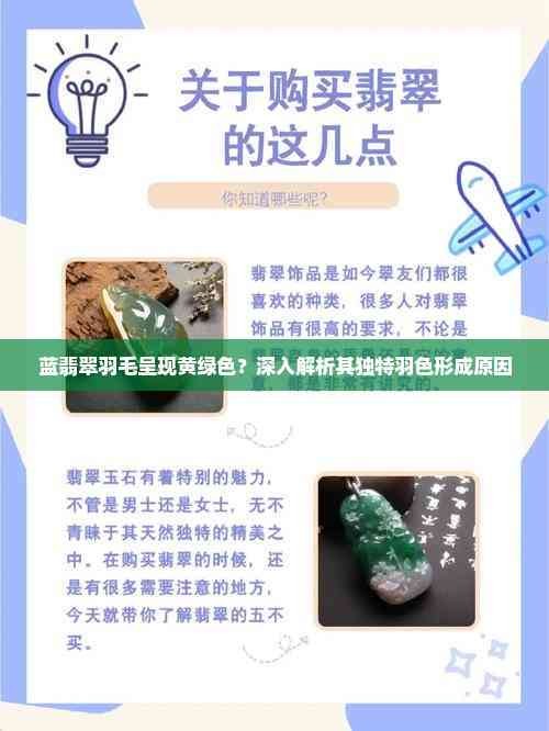 蓝翡翠羽毛呈现黄绿色？深入解析其独特羽色形成原因