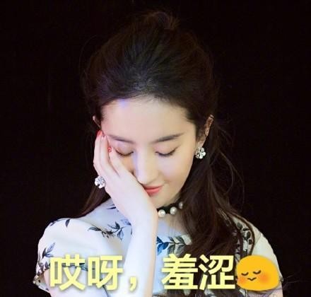 明星表情包；刘亦菲：看我快看我，忘了他吧，我捡垃圾养你