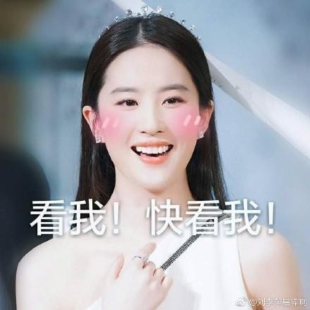 明星表情包；刘亦菲：看我快看我，忘了他吧，我捡垃圾养你