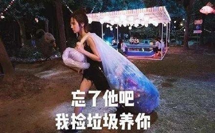 明星表情包；刘亦菲：看我快看我，忘了他吧，我捡垃圾养你