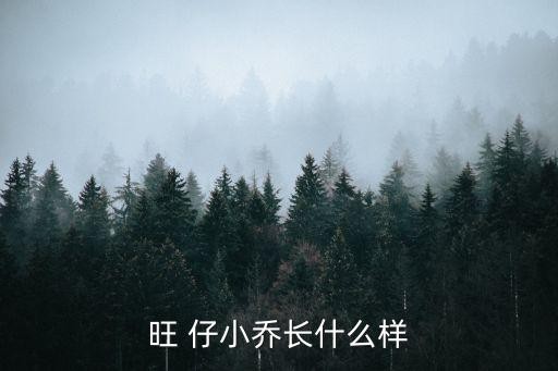 旺仔小乔