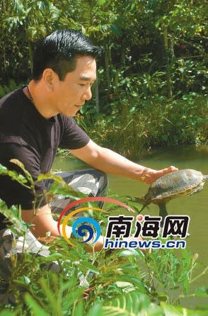 今年7月温兆伦在三亚参加中华花龟首次放生野外的活动。海南日报记者张谯星摄
