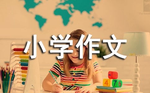 新编龟兔赛跑的小学作文