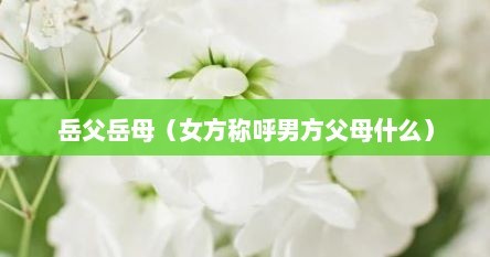 岳父岳母（女方称呼男方父母什么）