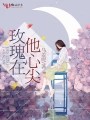 玫瑰在他心尖
