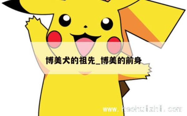 博美犬的祖先