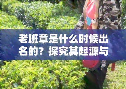 老班章是什么时候出名的？探究其起源与发展历程