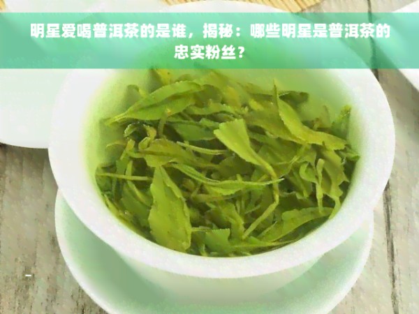 明星爱喝普洱茶的是谁，揭秘：哪些明星是普洱茶的忠实粉丝？