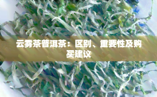 云雾茶普洱茶：区别、重要性及购买建议